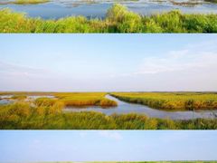 -鄱阳湖国家湿地公园