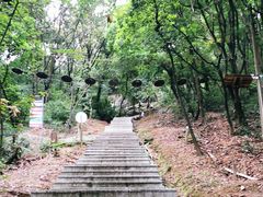 -天鹿湖森林公园