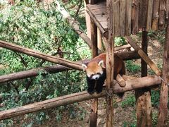 -昆明动物园