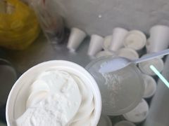 -洪馨椰子