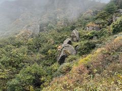 -阳台山自然风景区