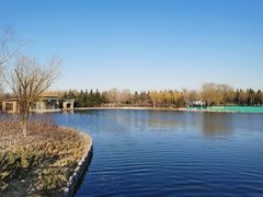 -大兴滨河森林公园