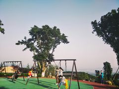 -铁山坪森林公园