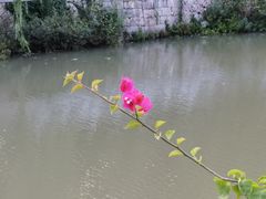 -紫阳海鲜楼·传承闽味(长乐路总店)