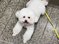 -瑞派康怡24h宠物医院·犬猫医疗中心·微创绝育(瑞景分院)