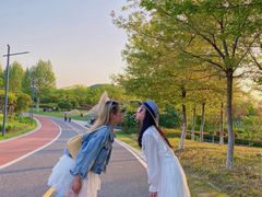 -合肥滨湖国家森林公园