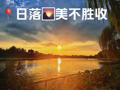 -什刹海