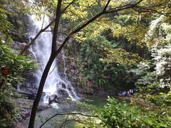 -鼎湖山风景区