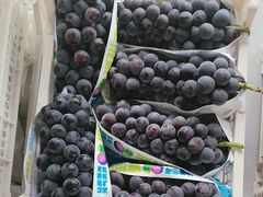 -马陆小张葡萄园农家乐