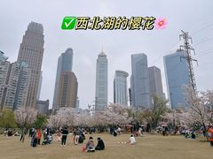 -西北湖绿化广场