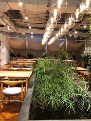 -悦诗风吟innisfree