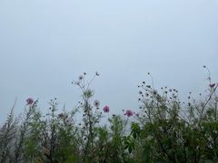 -白草畔自然风景区