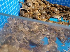 水产区-乔哥铭洋海鲜自助(皇城恒隆广场店)