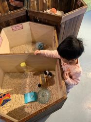 -未来动物城动物主题公园(大悦城店)