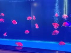 -山水温泉