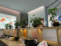 -长风拨筋养身(金虹桥店)