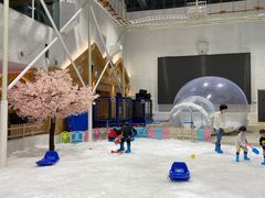-Mr·Kuma酷么先生雪之乐园