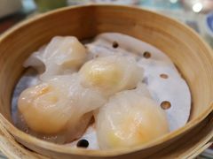 虾饺-捷信牛奶甜品世家(五道口店)