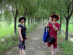 -长兴太湖图影湿地文化园