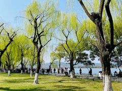 -柳浪闻莺公园