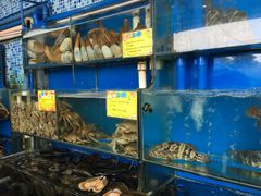 -蚝专家(北滘店)
