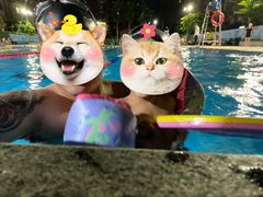 -猎德游泳池(猎德花园店)