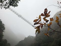 -宁波五龙潭景区