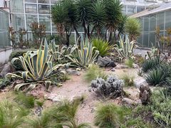 -昆明植物园