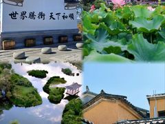 -腾冲洞山温泉村