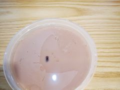 -芝麻糊世家(西华店)