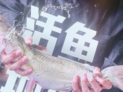 -老板恋上鱼(恒隆广场店)