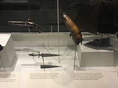 -布洛克德克萨斯国家历史博物馆