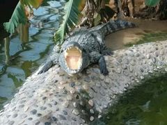 -石家庄市动物园