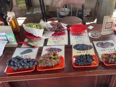 -马陆小张葡萄园农家乐