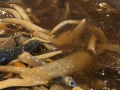 乌鸡山珍煲-东云阁大酒家(西苑路店)