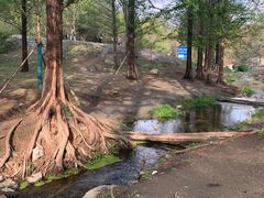 -白水寺森林公园
