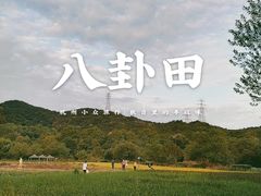 -八卦田遗址公园