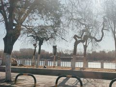 -万泉公园