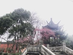 -丝绸小镇荻港古村