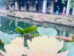 -黎里古镇