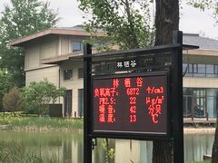 -林栖谷森林康养度假区