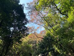 -广州市白云山风景名胜区