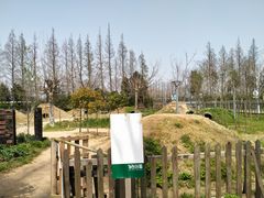 -前小桔亲子创意农场·草莓采摘·露营烧烤