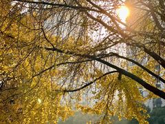 -苏州河梦清园环保主题公园