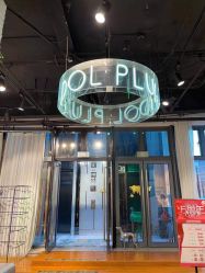 -IDOL-PLUS