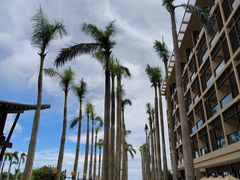 -亚龙湾红树林度假酒店御粤阁