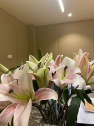 -婳香·女性英式芳疗SPA