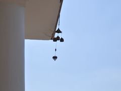 -漩门湾国家湿地公园