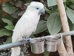 -南宫五洲植物乐园