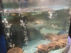 -乐在集市海鲜大排档(平潭店)